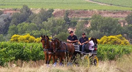 bodega Pagès Entrena