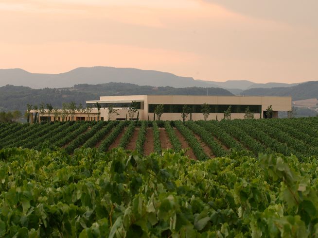 bodega Vilarnau