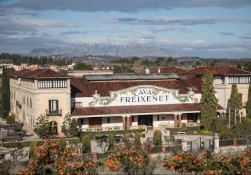 bodega Freixenet