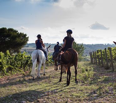 bodega Gramona