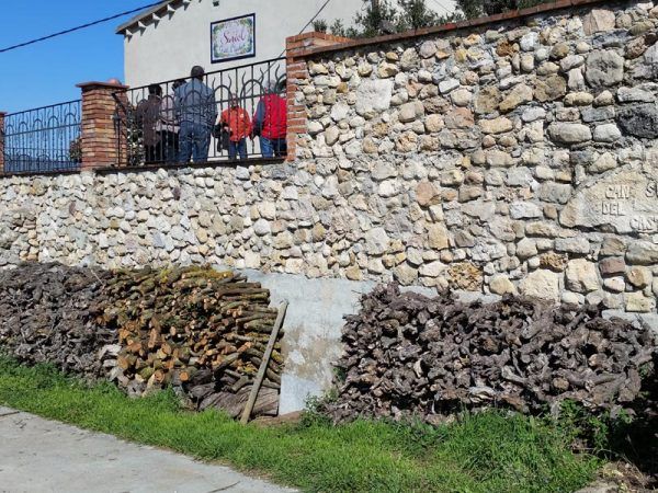 bodega Can Suriol del Castell de Grabuac