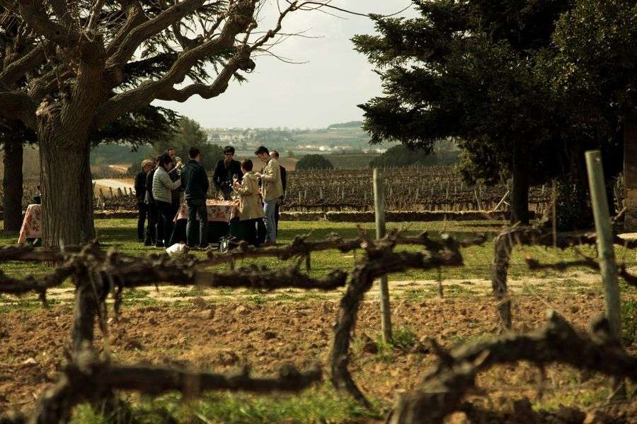 bodega Can Bas Domini Vinícola