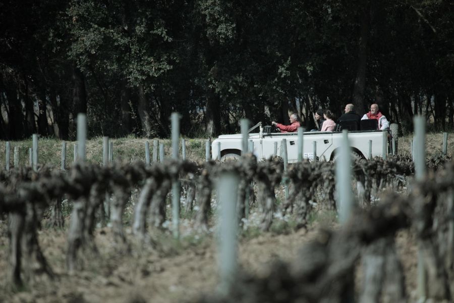 bodega Can Bas Domini Vinícola