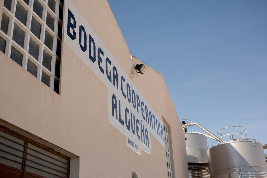 bodega Bodega Vinos de Algueña