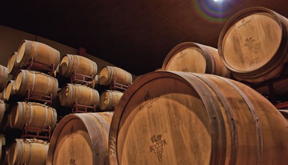 bodega Bodegas Bocopa