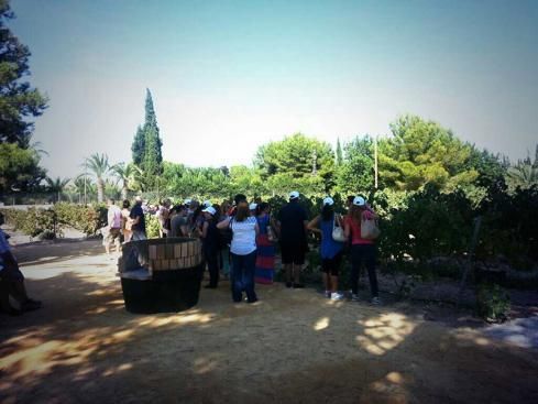 bodega Bodegas Faelo