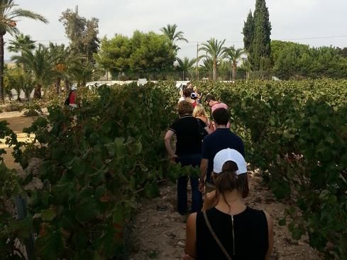 bodega Bodegas Faelo