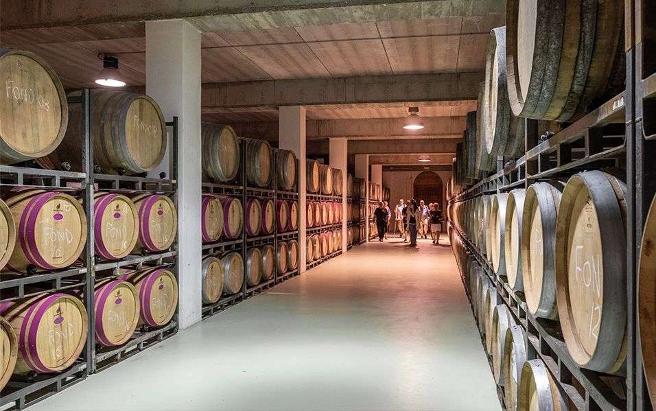 bodega Bodegas Francisco Gómez