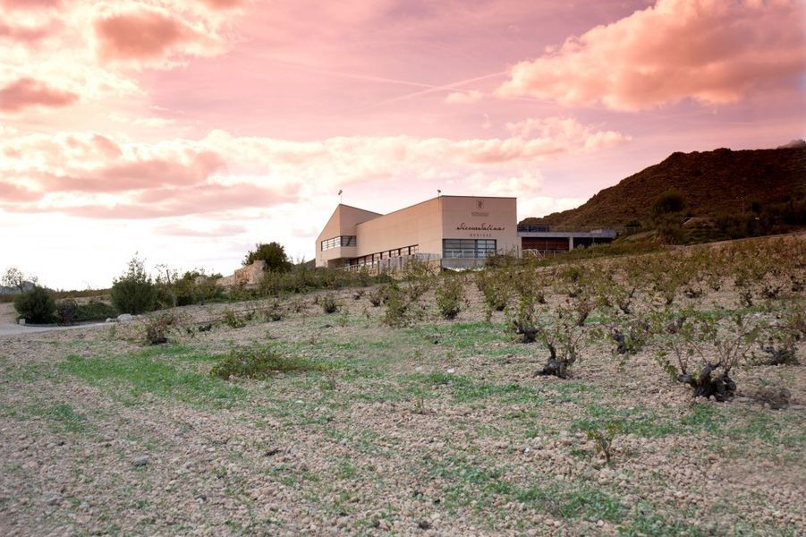 bodega Bodegas Sierra Salinas