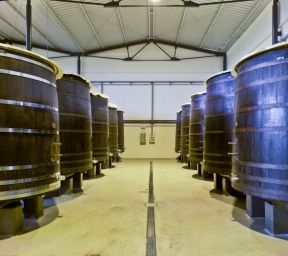 bodega Bodegas y Viñedos El Sequé