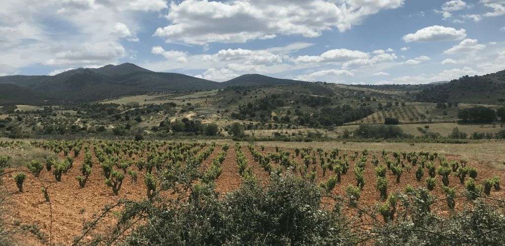 bodega Bodegas Virgen de la Sierra