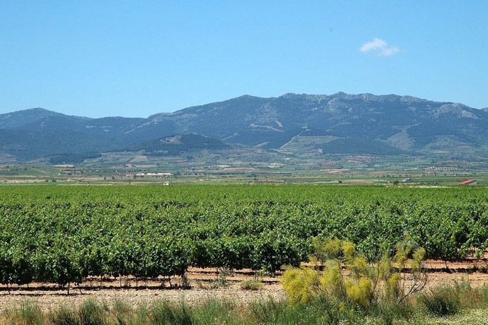 bodega Bodegas Solar de Urbezo