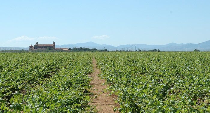 bodega Bodegas Solar de Urbezo