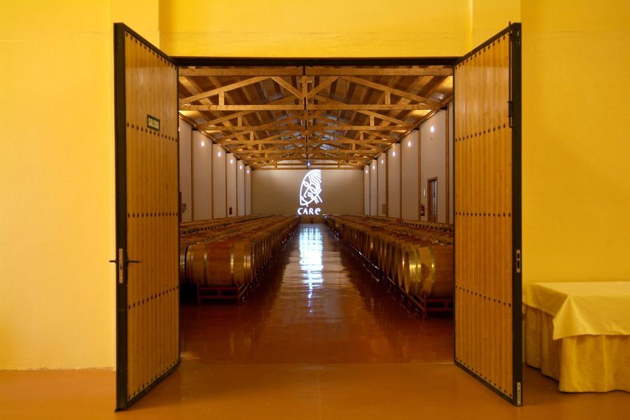 bodega Bodegas Care