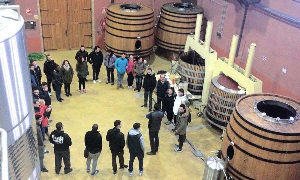 bodega Bodegas Victoria-Dominio de Longaz