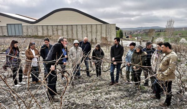 bodega Bodega César Príncipe