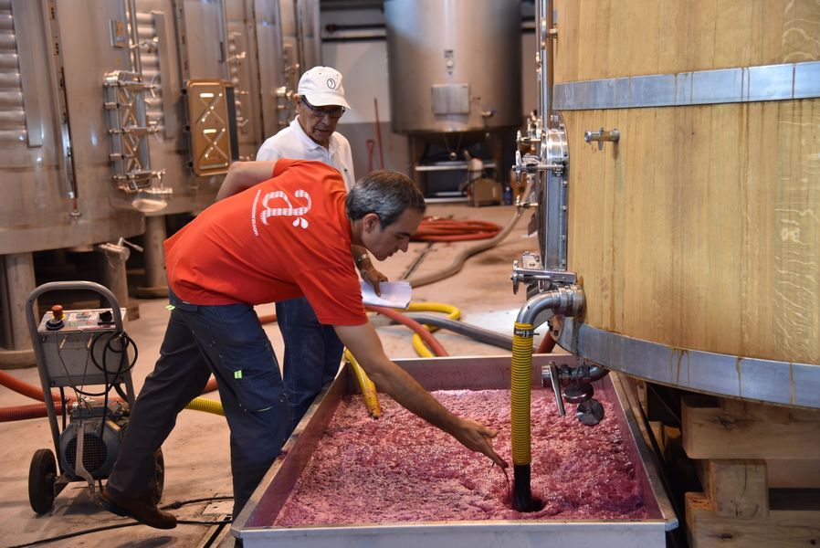 bodega Bodegas Estévez