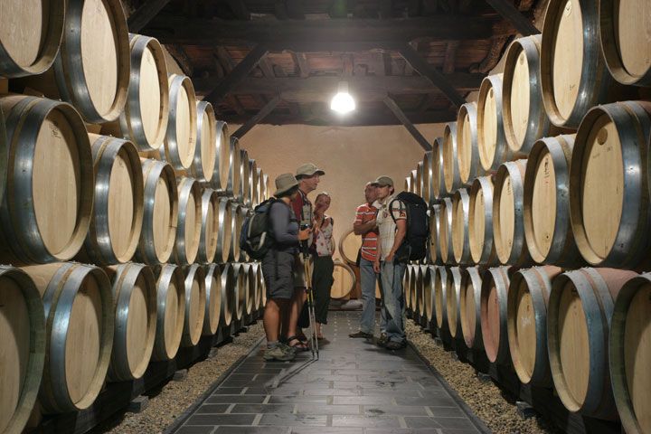 bodega Bodega Cuatro Pasos