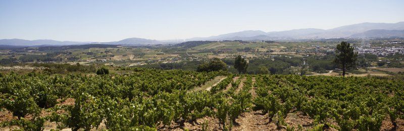 bodega Bodegas Gancedo