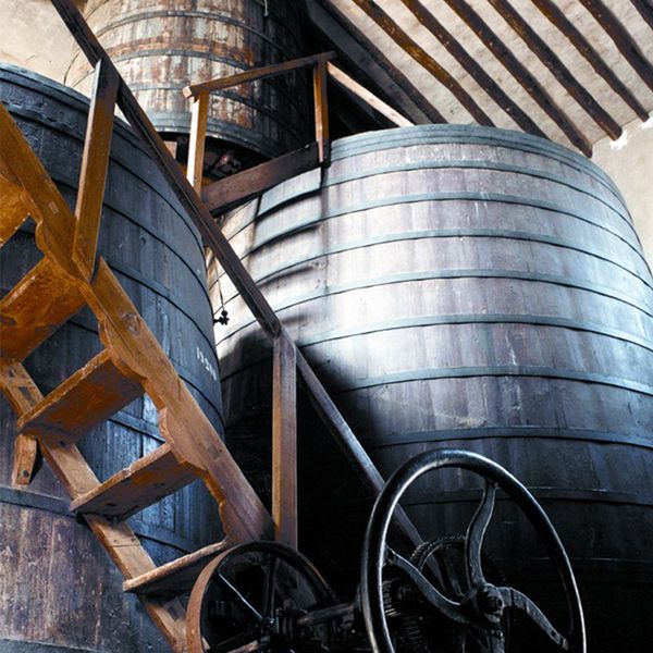 bodega Bodegas Alceño