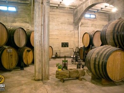 bodega BSI Bodegas San Isidro