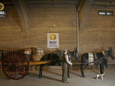 bodega BSI Bodegas San Isidro