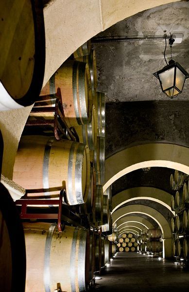 bodega Bodegas Luzón