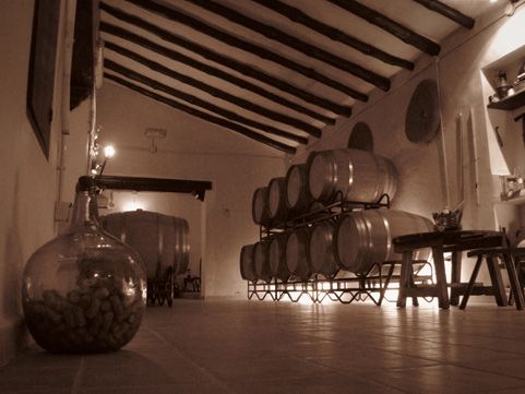 bodega Bodegas Xenysel