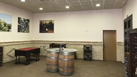 bodega Bodegas Ribera del Juá