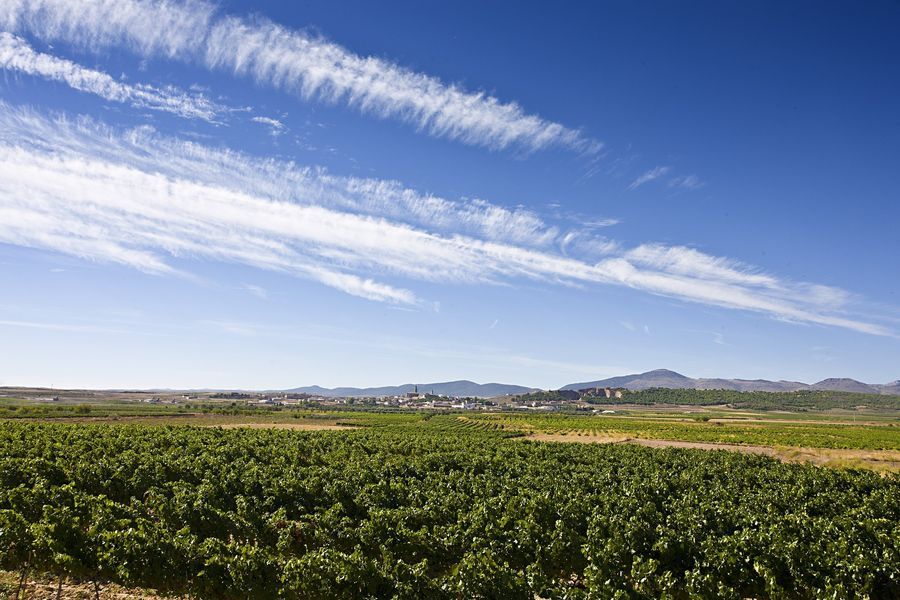 bodega Aragonesas