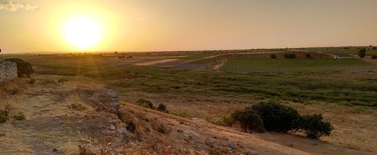 bodega Vinícola de Tomelloso