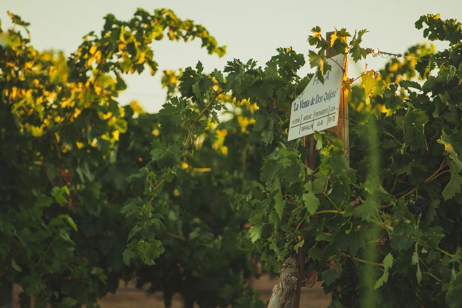 bodega Bodegas VQ