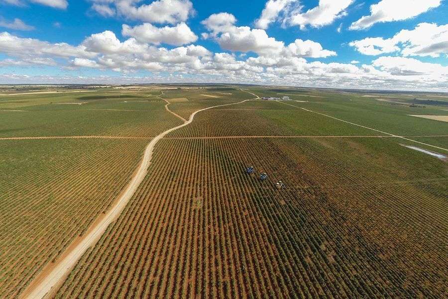 bodega Bodegas VQ