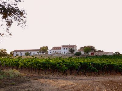 bodega Bodegas César Velasco