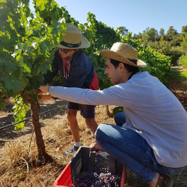 bodega Bodega Clos Pons