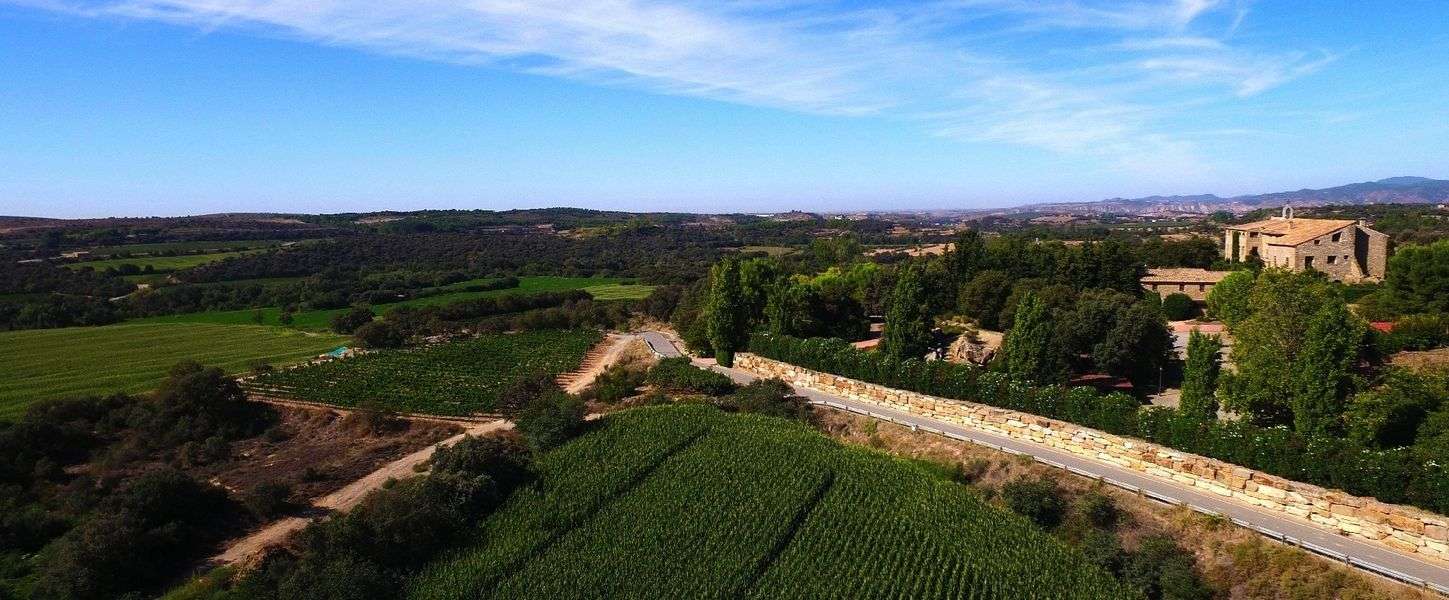 bodega Bodega Costers del Sió