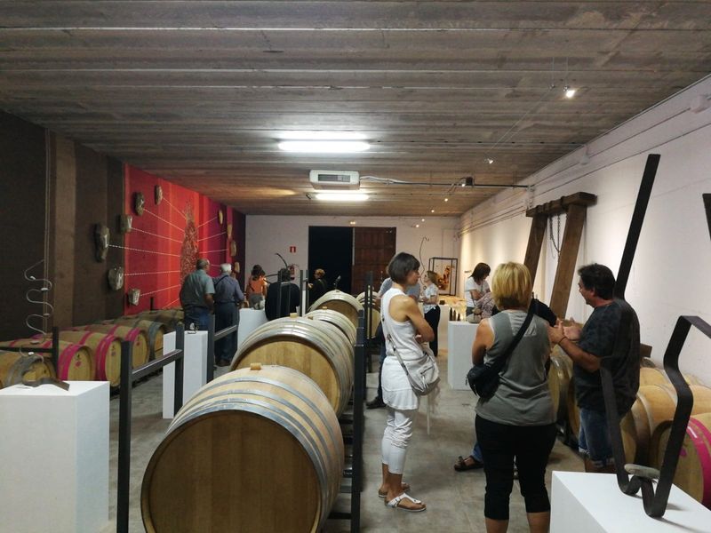 bodega Bodega Vinya els Vilars