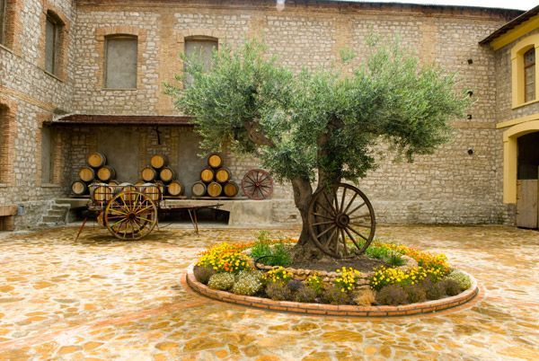 bodega Marqués de Montecierzo