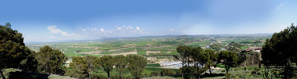 bodega Bodegas Macaya