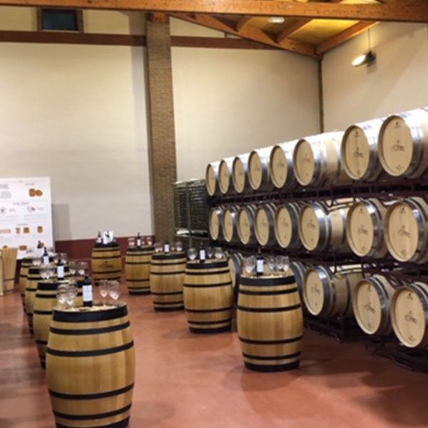 bodega Bodegas Pagos de Obanos