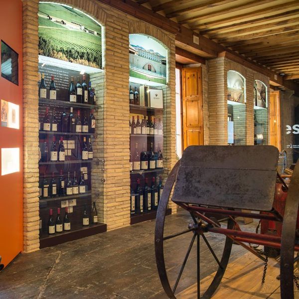 bodega Bodega Otazu