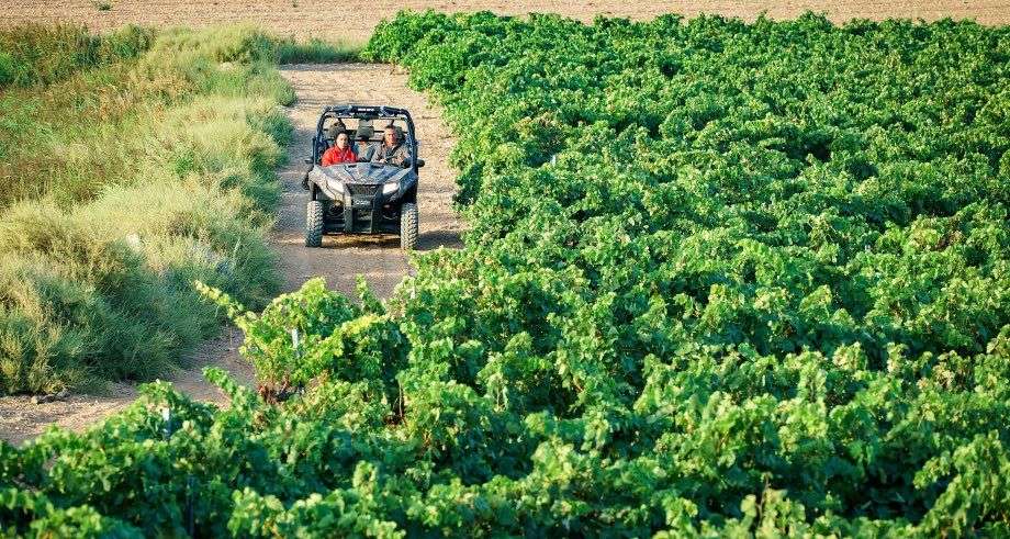 bodega Malón de Echaide