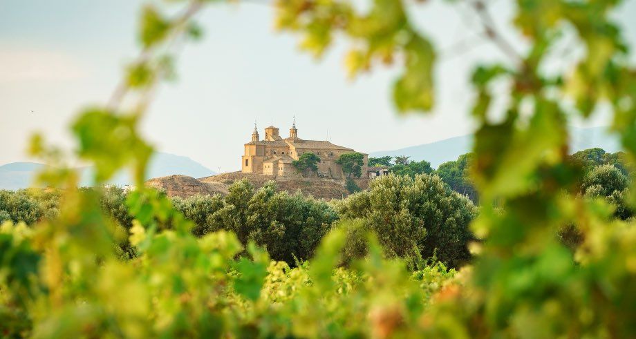 bodega Malón de Echaide