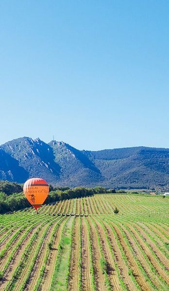 bodega Bodegas y Viñedos Quaderna Via