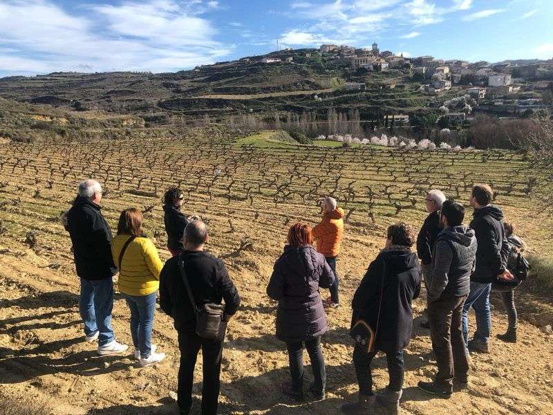 bodega Bodegas Máximo Abete