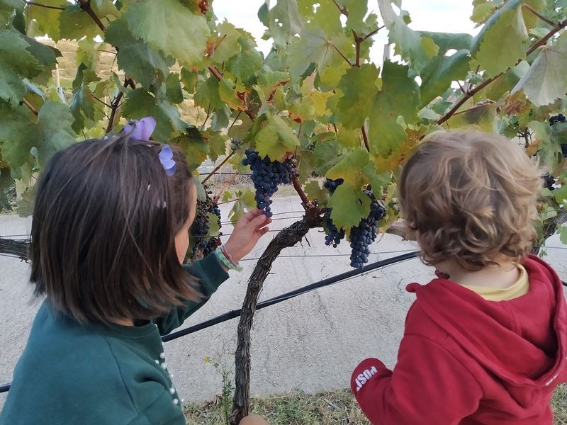 bodega Bodegas Máximo Abete