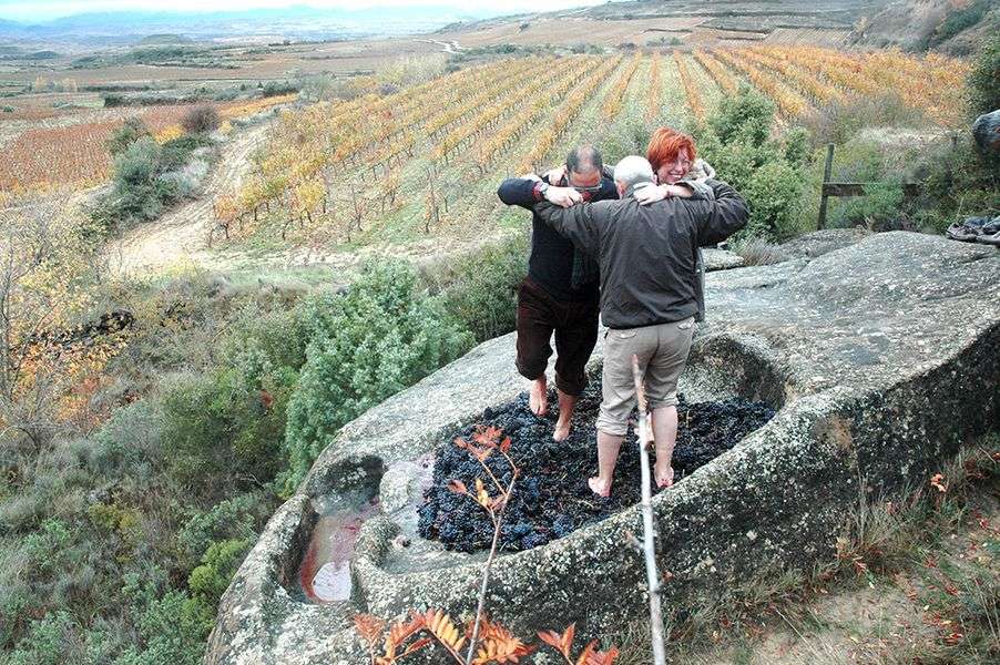 bodega Bodegas Abeica