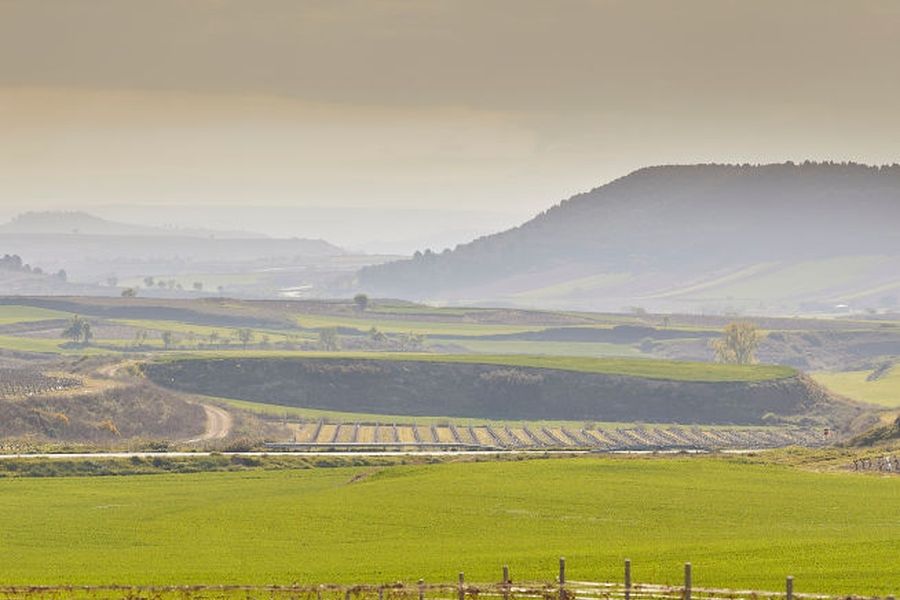 bodega Bodegas Beronia