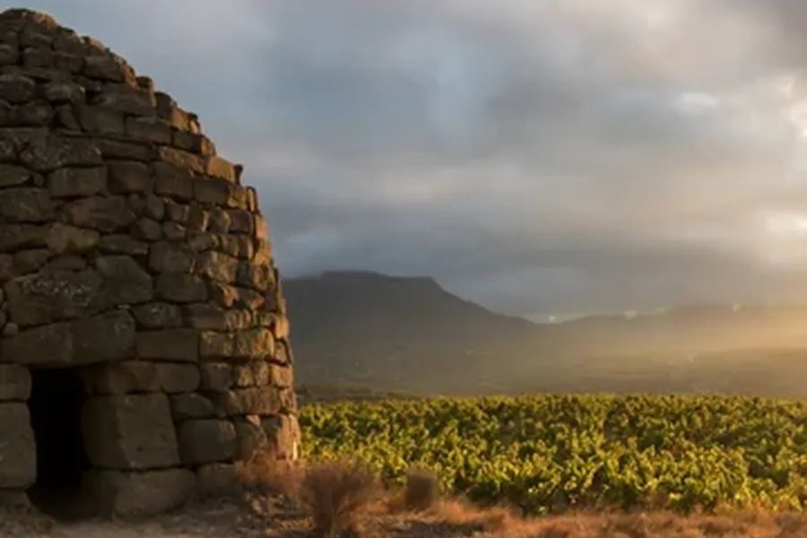 bodega Bodegas Roda