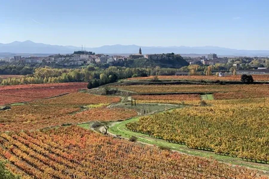 bodega Bodegas Roda